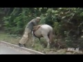 Funny Fail Compilation 2013