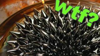 How To Make Magnetic Fluid (ferro Fluid)